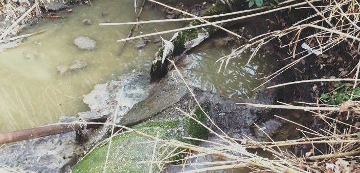 FOSSO DI CAMPO MORTO: fuoriuscita di acque nere nei pressi del Parco della Cellulosa